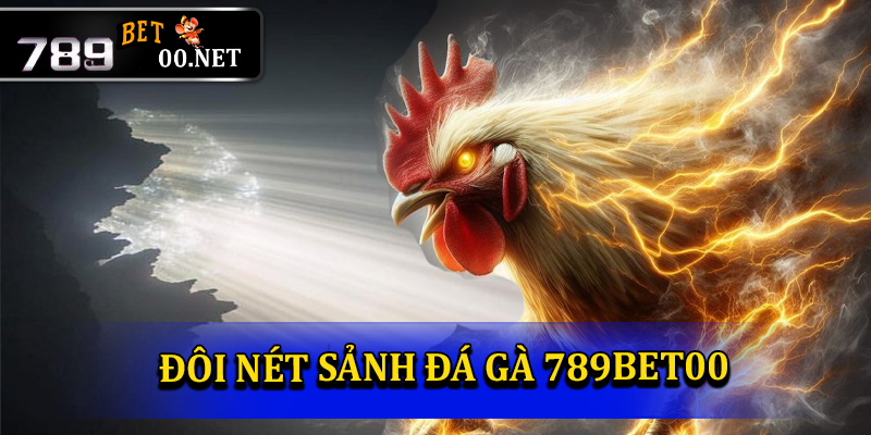 Giới thiệu đôi nét về sảnh đá gà 789bet00