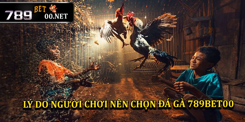 Những lý do người chơi nên chọn 789bet00 là nơi cá cược đá gà