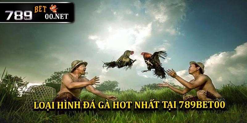 Cập nhật cho anh em hai hình thức đá gà hot nhất tại nhà cái